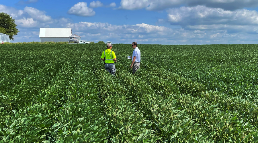 research_epa_soybeans
