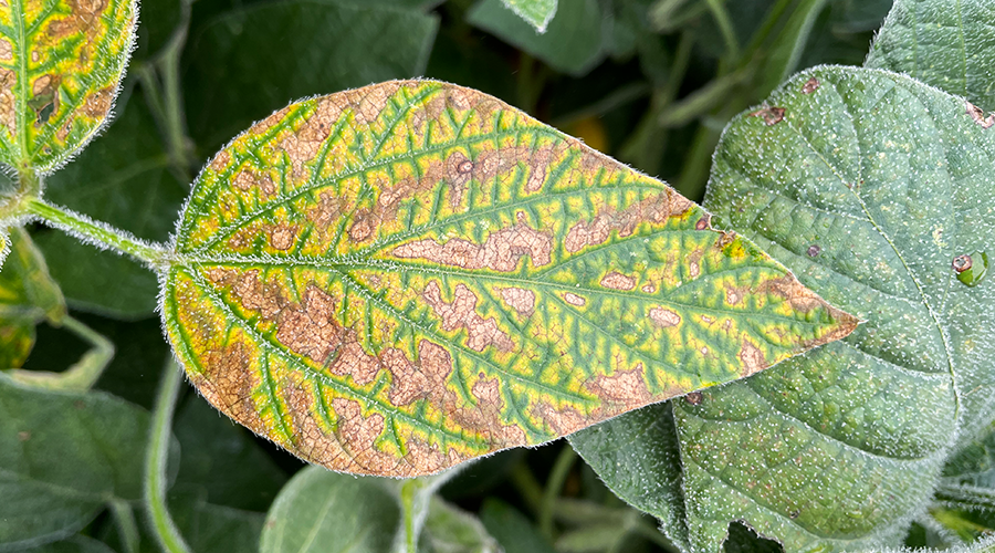 sds_protection_seedtreatment