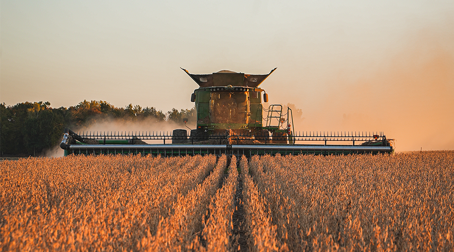 soybean_harvest_profit