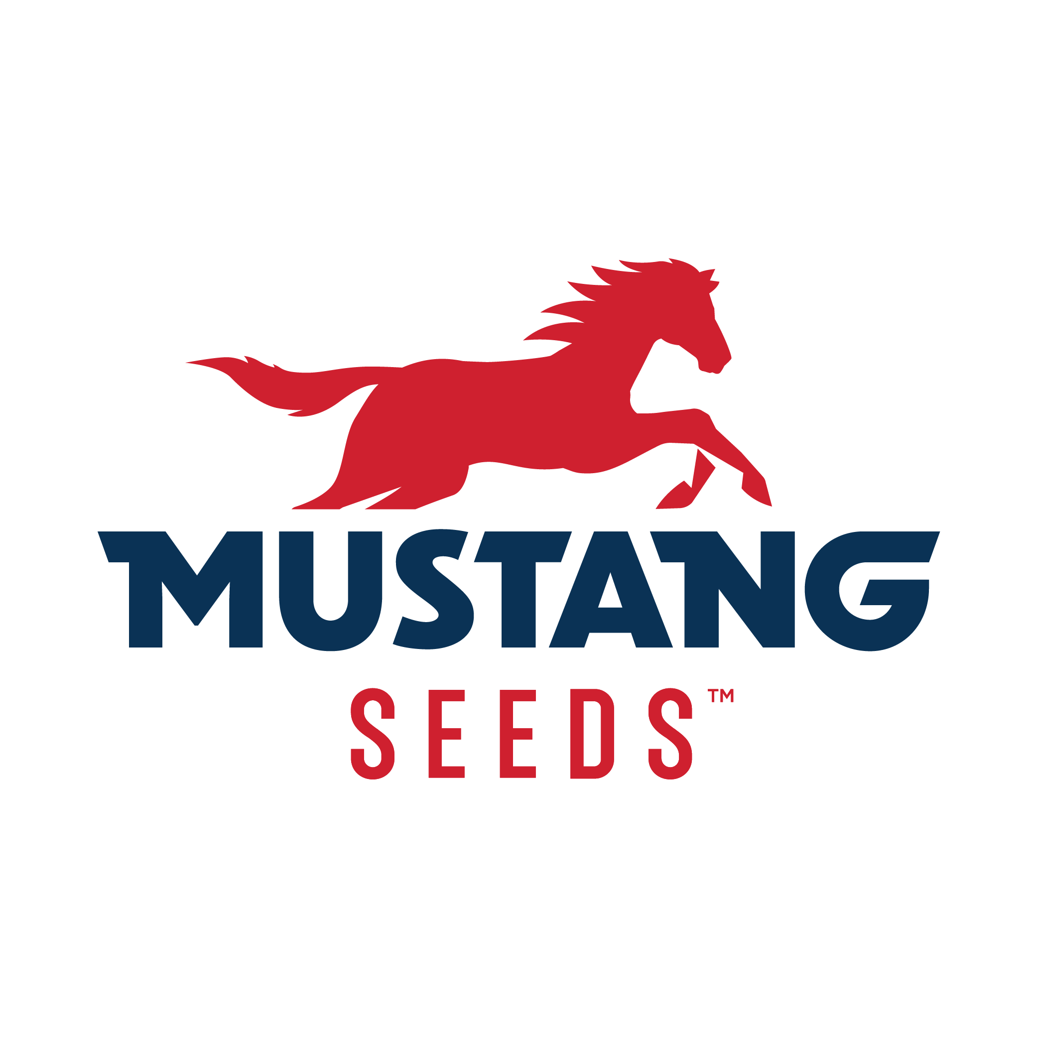 HeadsUp_Distrubitorsmustang