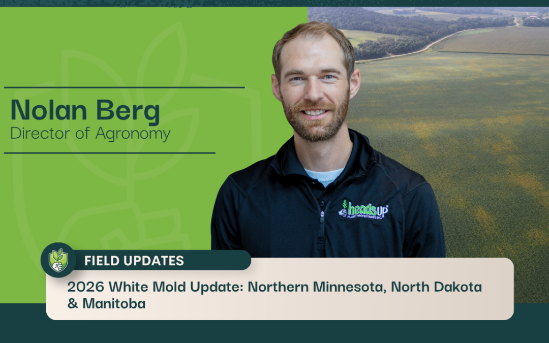 2026 White Mold Update: Northern Minnesota, North Dakota & Manitoba