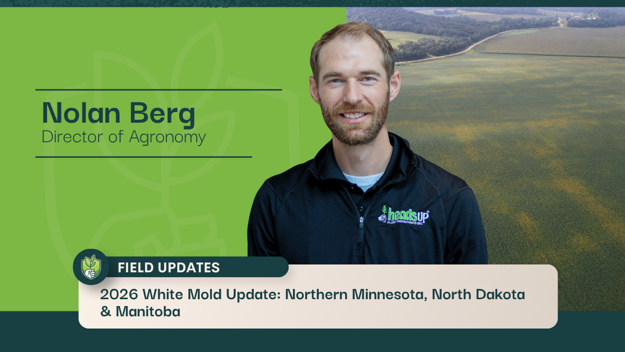 2026 White Mold Update: Northern Minnesota, North Dakota & Manitoba