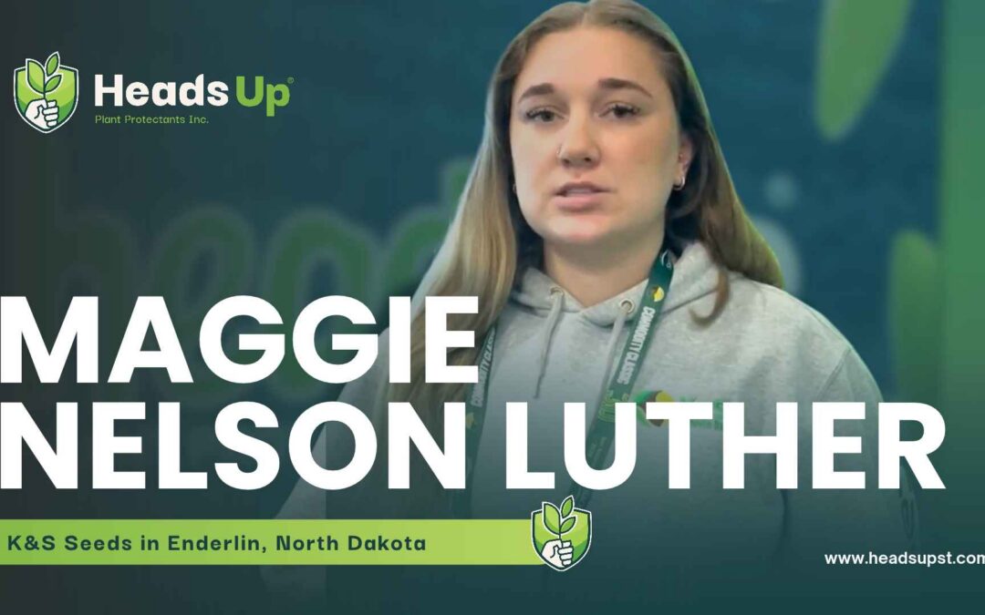 K&S Seed Company and Luther Farms use Heads Up to control white mold and SDS