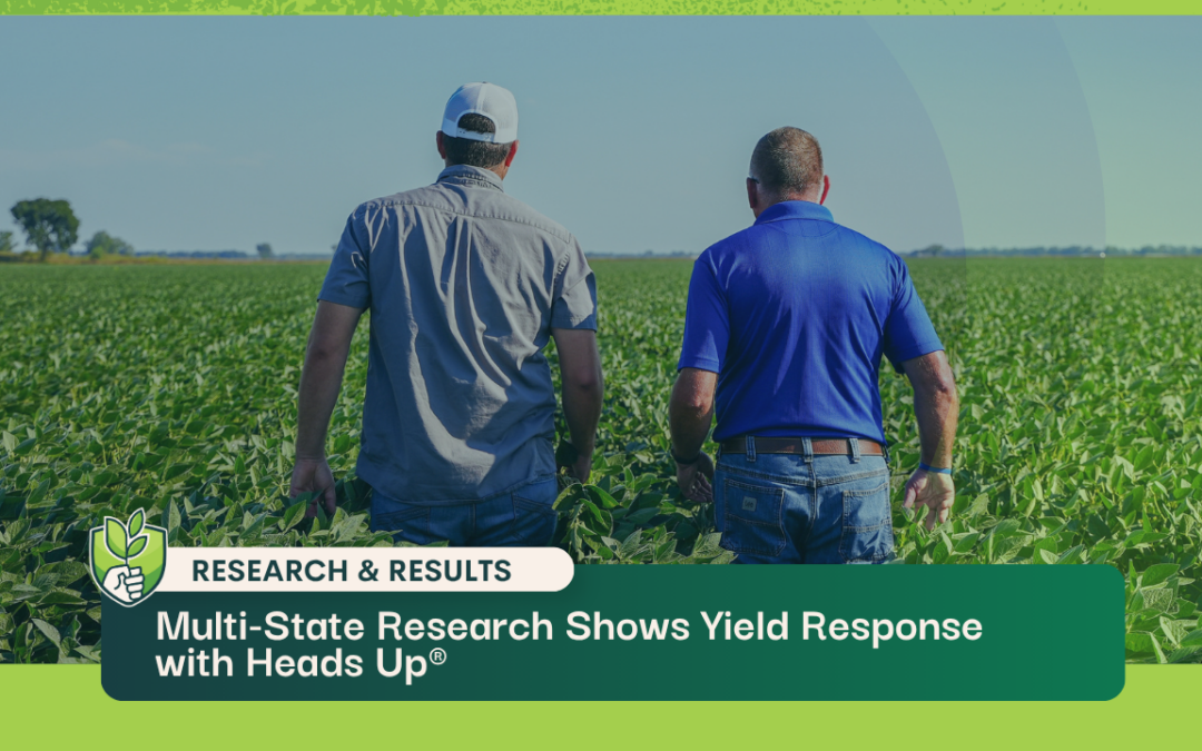 Heads Up NCSRP Trial
